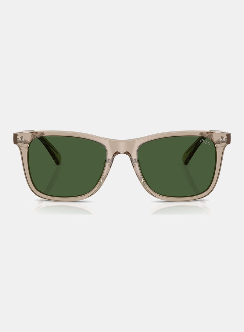 POLO RALPH LAUREN Full Rim Square Sunglasses 0PH4220U - Image 5